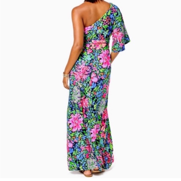 Lilly Pulitzer Niki Maxi Dress - XL - Picture 3 of 9